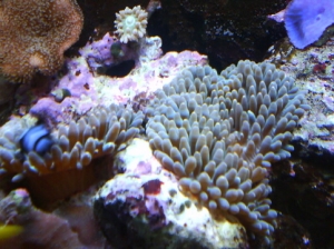 DSC00319