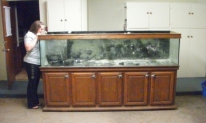 My wife on her tippy toes checking out the new tank