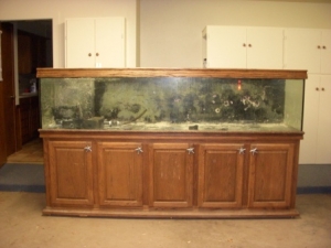The nasty tank before I get to clean it