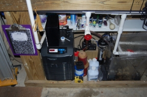 1/3 hp pacific coast chiller.  a journal is extremely important when starting a tank.