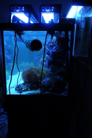 tank3