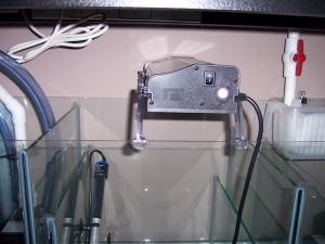 fuge light 50/50