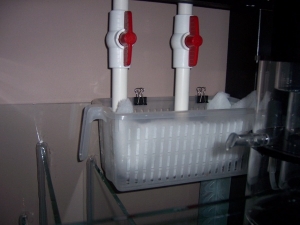filter basket