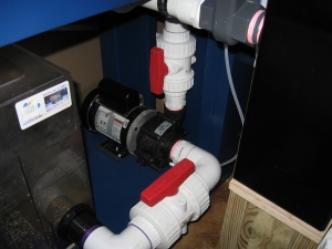 reeflow dart pump