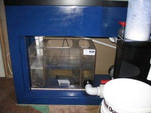 old sump for new tank