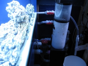 side veiw of skimmer