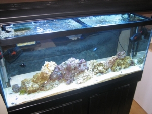 Tank 4 7 09