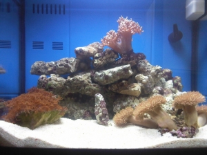 Photo 0008