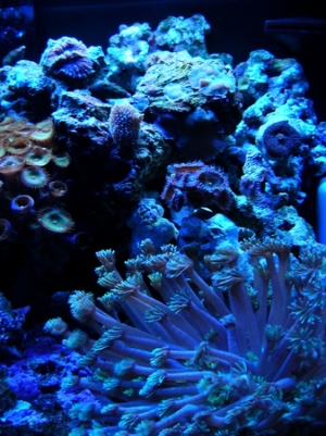 DSCN3711