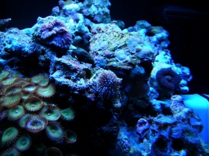 DSCN3714