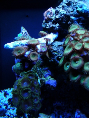 DSCN3719