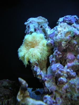 DSCN3738