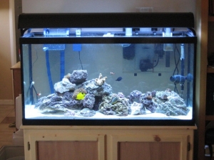 full tank