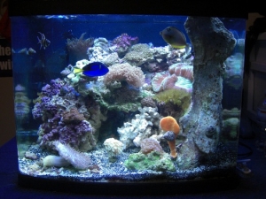 the Biocube once upon a time...