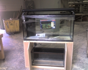 Photo 051609 009