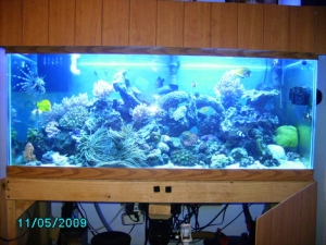 PICT00014 (2)