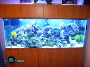PICT00014 (13)