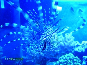 PICT00014 (4)