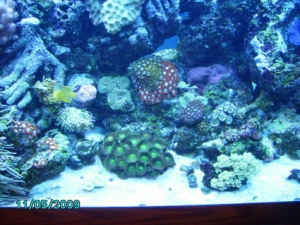 PICT00014 (6)