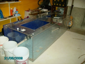 PICT00012