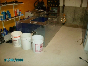 PICT00012 (2)