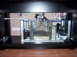 sump/fuge