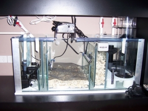 sump/fuge