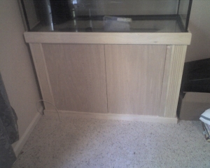Photo 053009 002