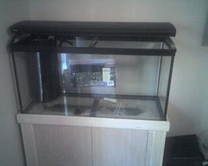 Photo 053009 003
