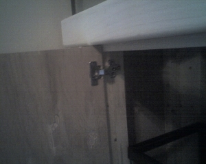 Photo 053009 006