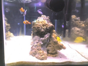 side view