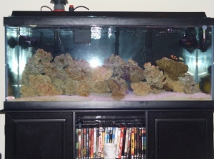 current tank