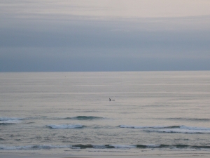 Newport 010