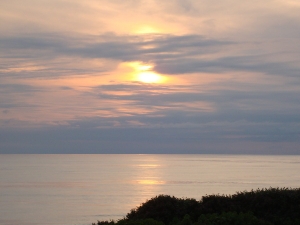 Newport 036