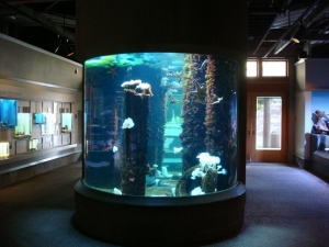 Newport 088