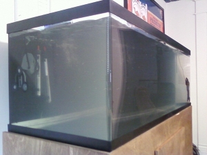 tank filled