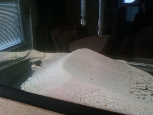 I do not like it when the movie Dune is in my tank