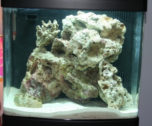 The second set up after realizing how much rock was against the glass and how hard it would be to keep clean.