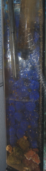 wet dry system