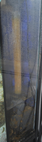 wet dry system
