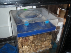 Pro-Clear Aquatics Premier 200 Wet/dry
