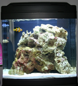 Updated tank pic 6-28-09