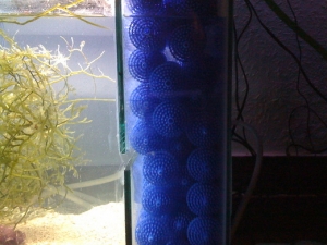 Notice split in glass by bio balls.