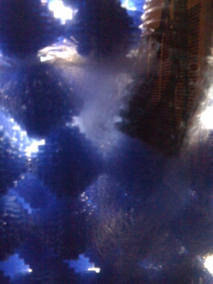 Intake from display to refugium.