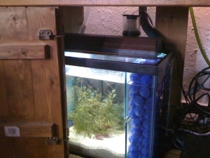 Home Built Refuguim
