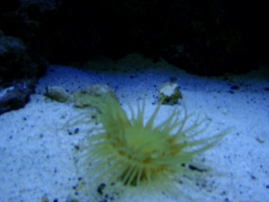 P6150070