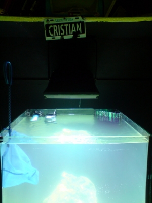 looking how mi metal halide works