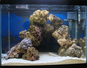 main tank