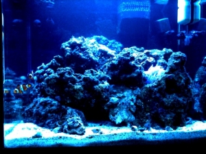 one month 2