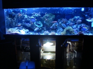system with sump under